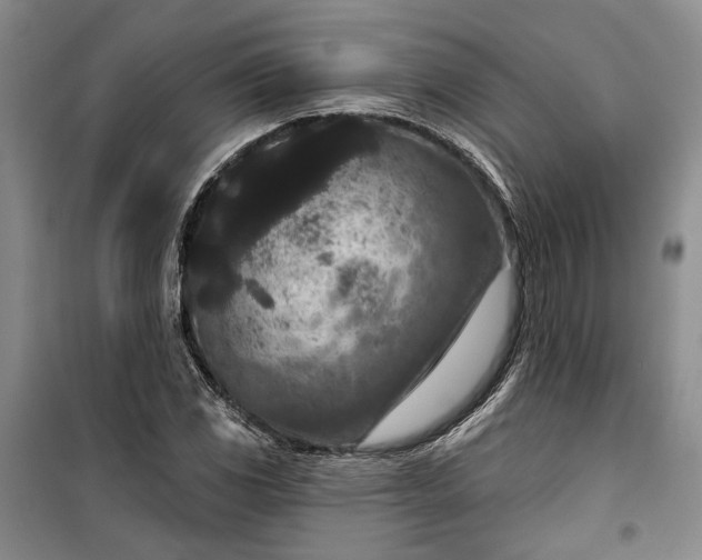 X0000100361117200806131009