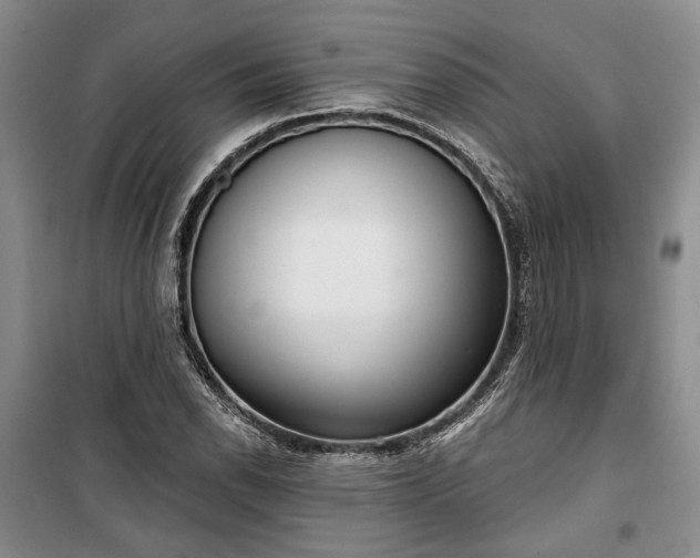 X0000100361118200806131009