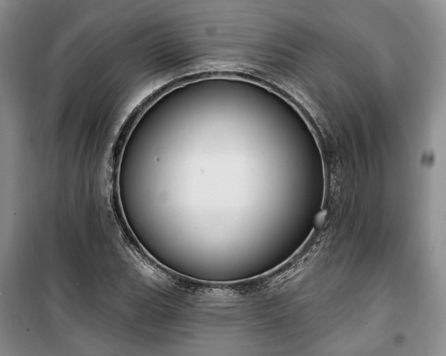 X0000100361119200806131009