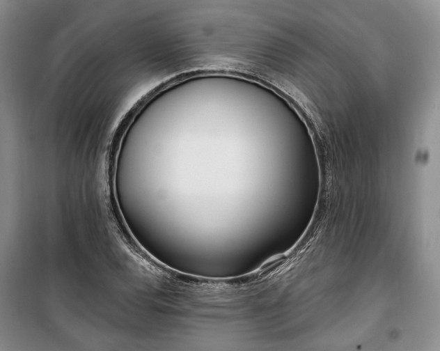 X0000100361120200806131009