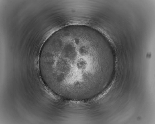 X0000100361121200806131009