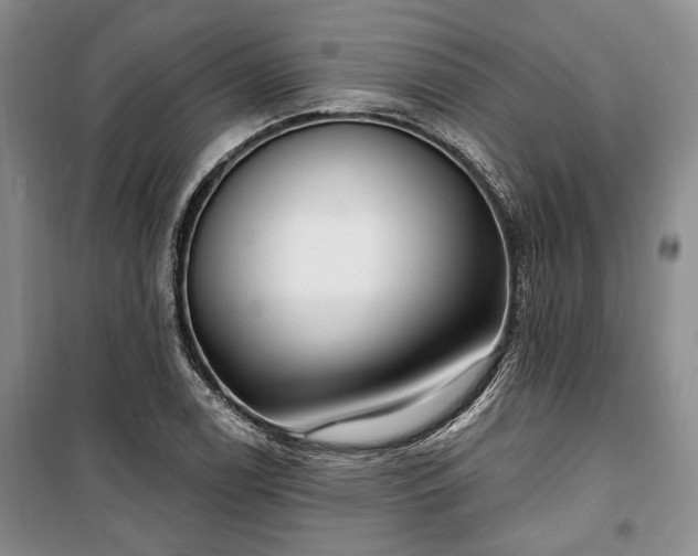 X0000100361122200806131009