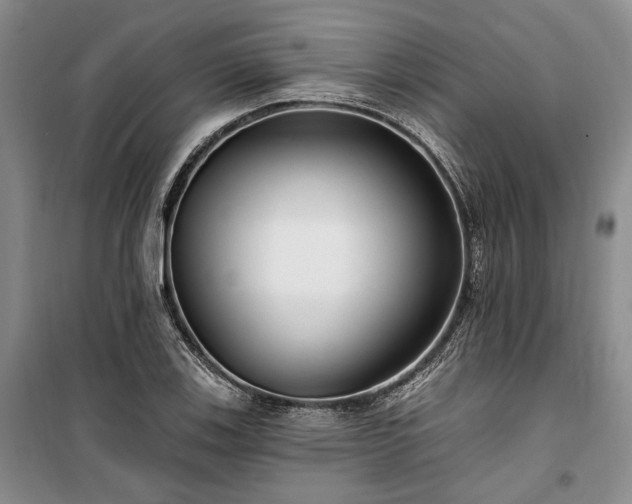 X0000100361123200806131009