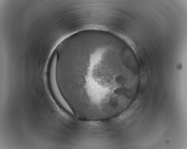 X0000100361125200806131009