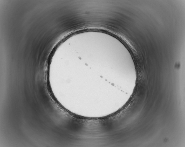 X0000100361126200806131009