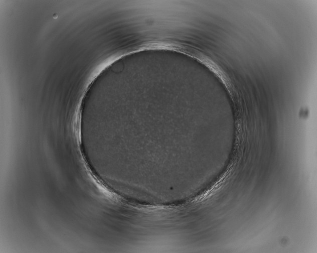 X0000100361127200806131009