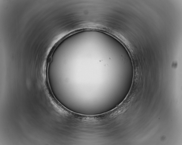 X0000100361128200806131009