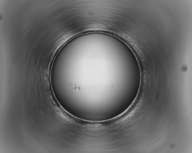 X0000100361129200806131009