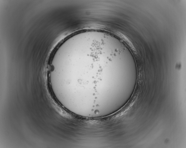 X0000100361130200806131009