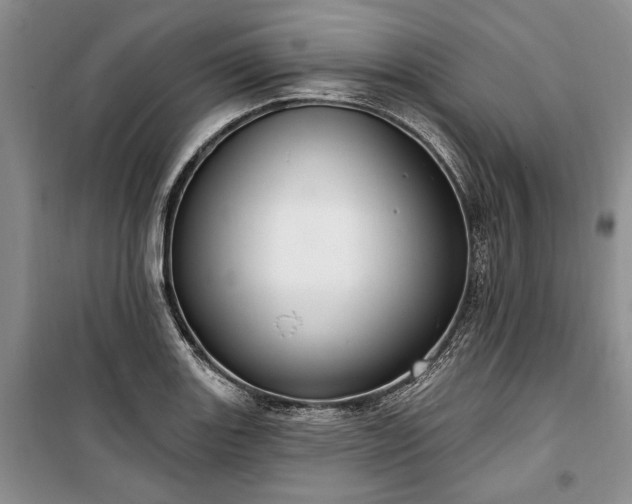 X0000100361131200806131009