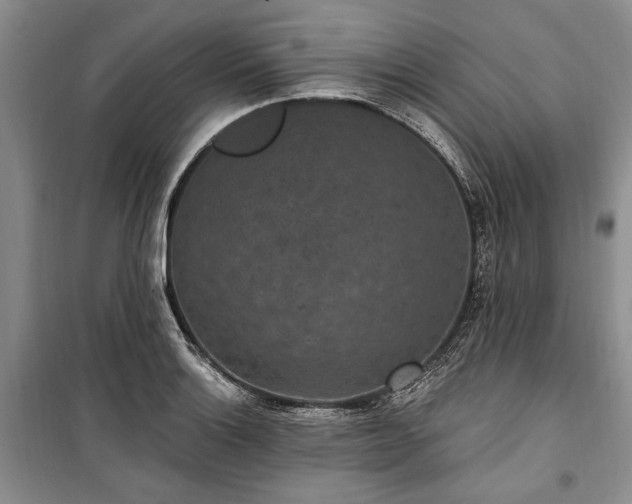 X0000100361132200806131009