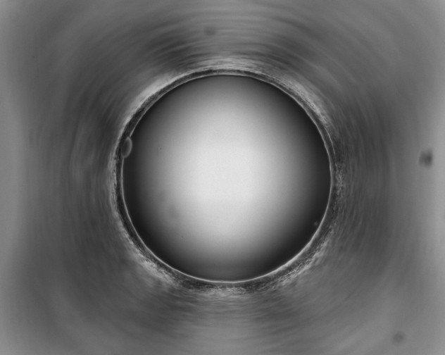 X0000100361133200806131009