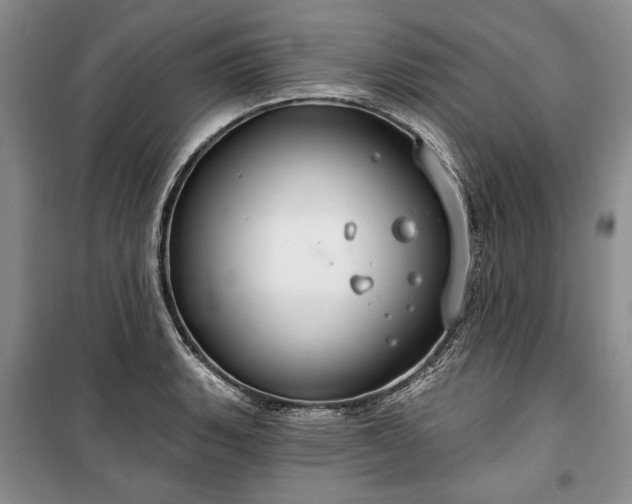 X0000100361135200806131009