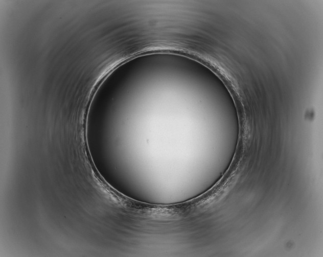 X0000100361137200806131009