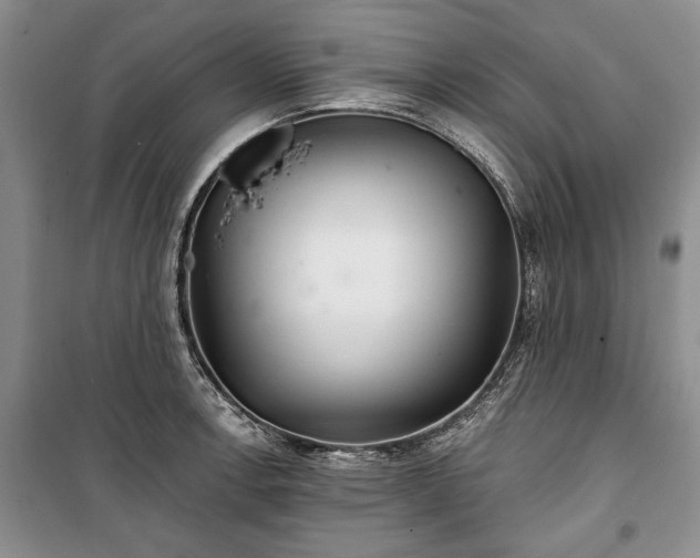 X0000100361138200806131009