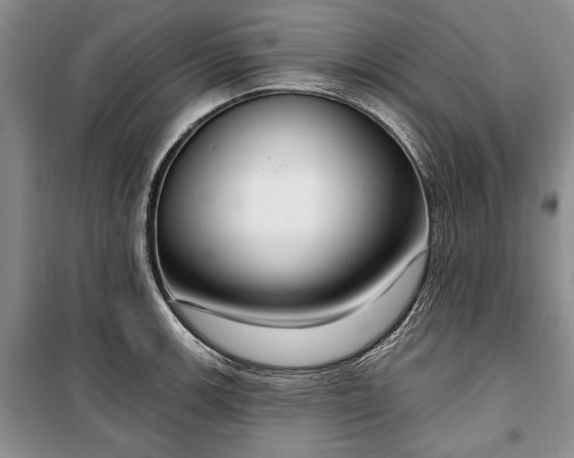 X0000100361139200806131009