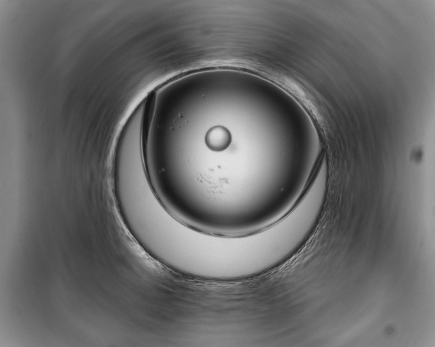 X0000100361140200806131009