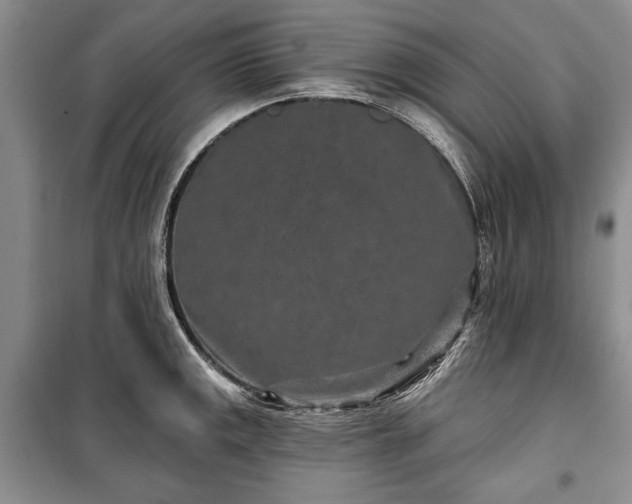 X0000100361141200806131009