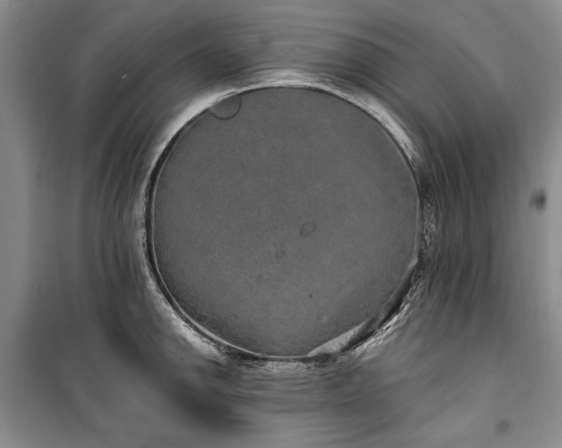 X0000100361142200806131009