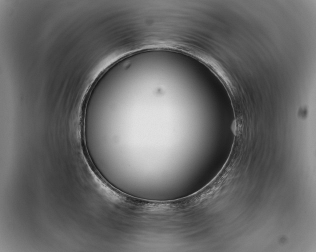 X0000100361143200806131009