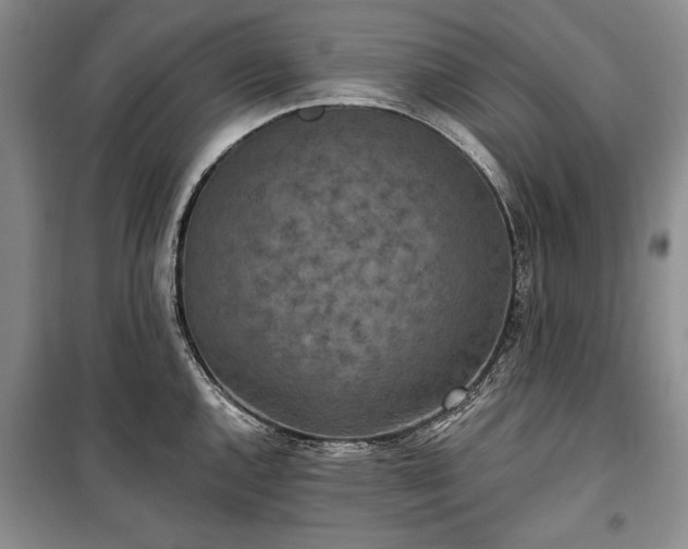 X0000100361144200806131009