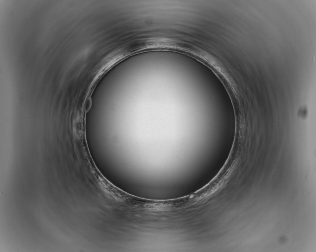 X0000100361145200806131009