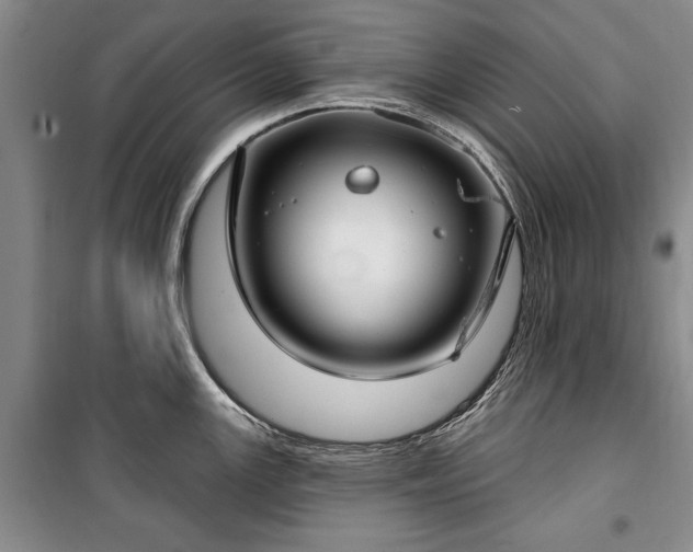 X0000100361147200806131009