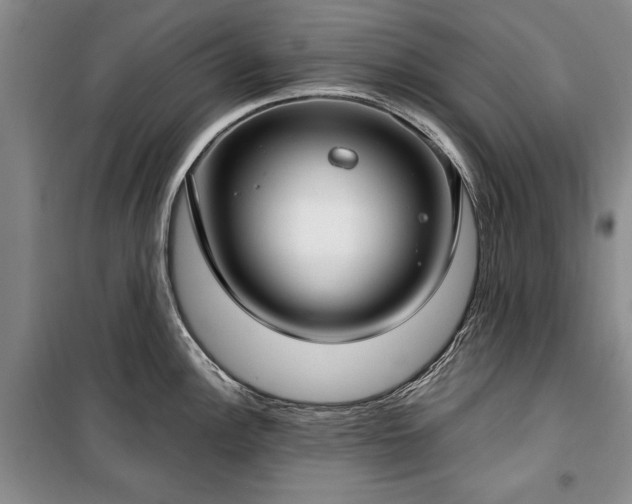 X0000100361148200806131009