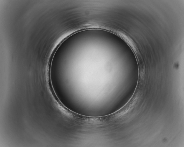 X0000100361149200806131009