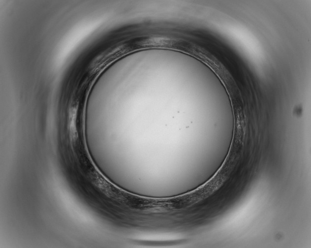 X0000100361150200806131009