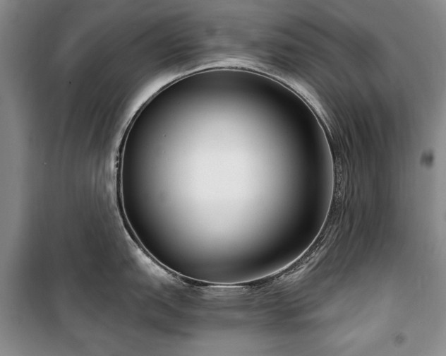 X0000100361151200806131009