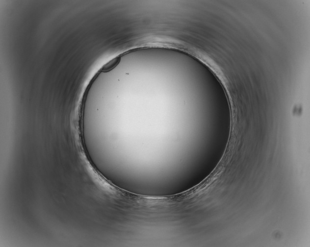 X0000100361152200806131009