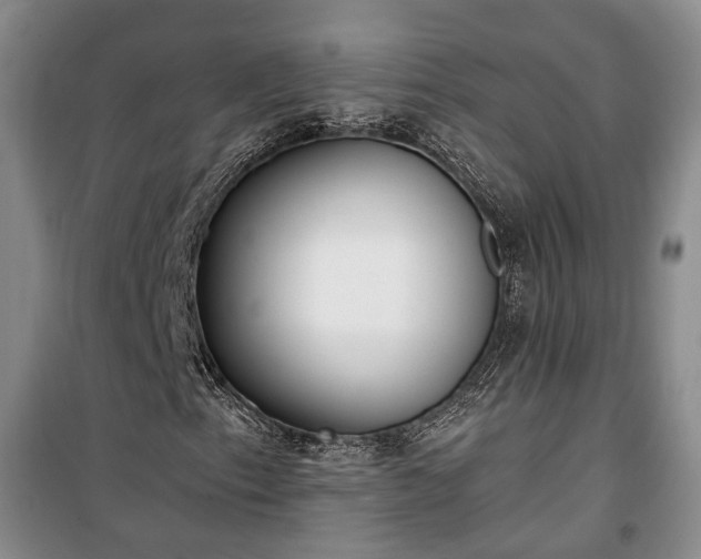 X0000100361153200806131008