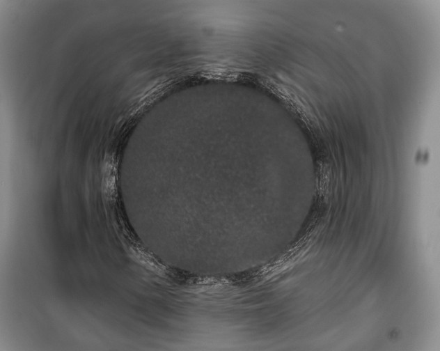 X0000100361154200806131008