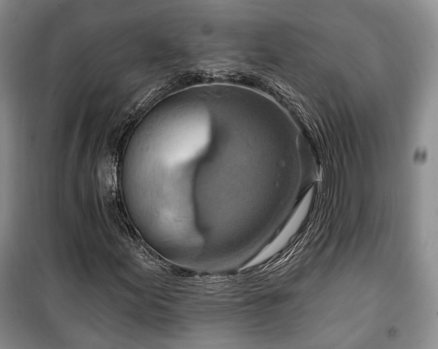 X0000100361155200806131008