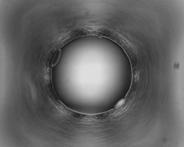 X0000100361156200806131008