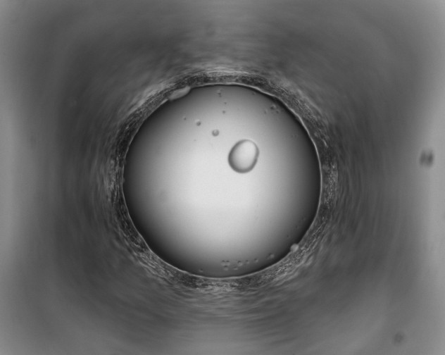 X0000100361157200806131008