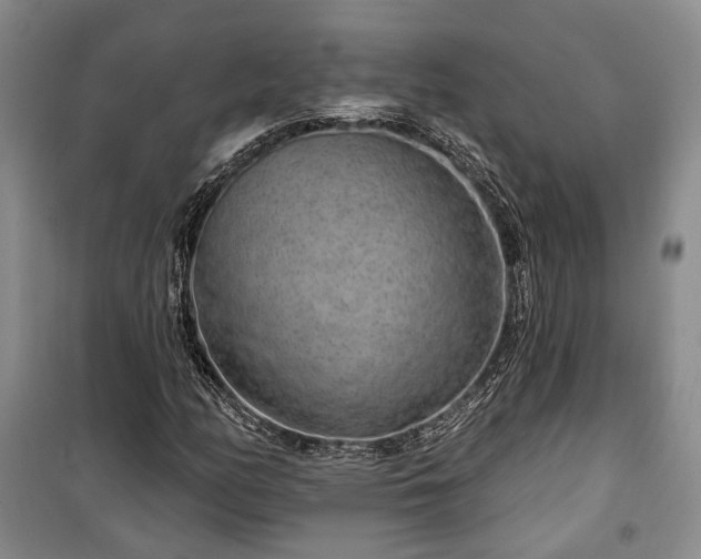 X0000100361158200806131008