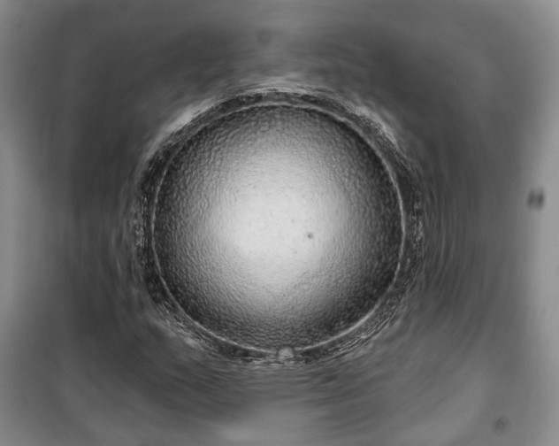 X0000100361159200806131008