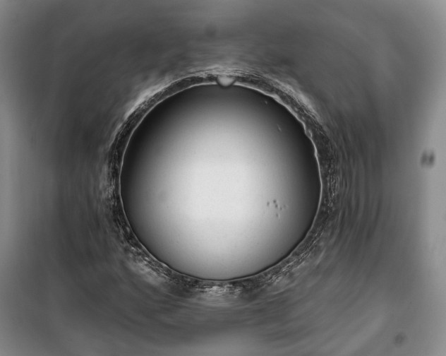 X0000100361160200806131008