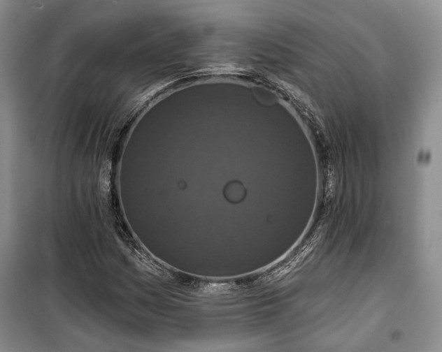 X0000100361161200806131008