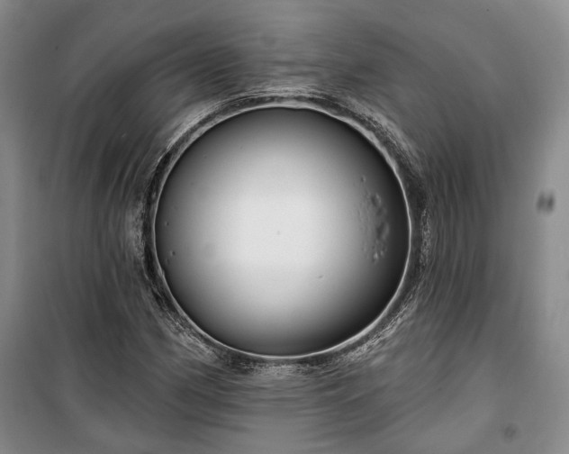 X0000100361162200806131008