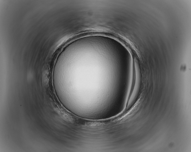 X0000100361163200806131008