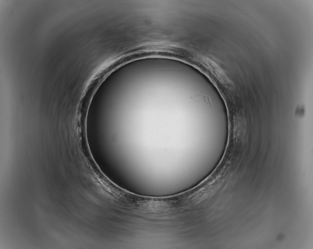 X0000100361164200806131008