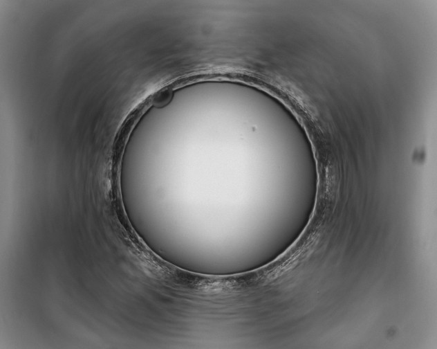 X0000100361165200806131008