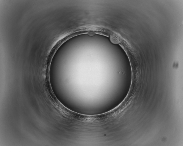 X0000100361166200806131008