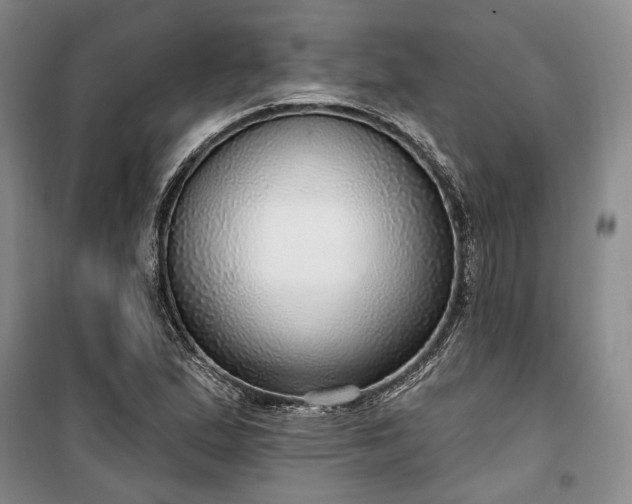 X0000100361167200806131008