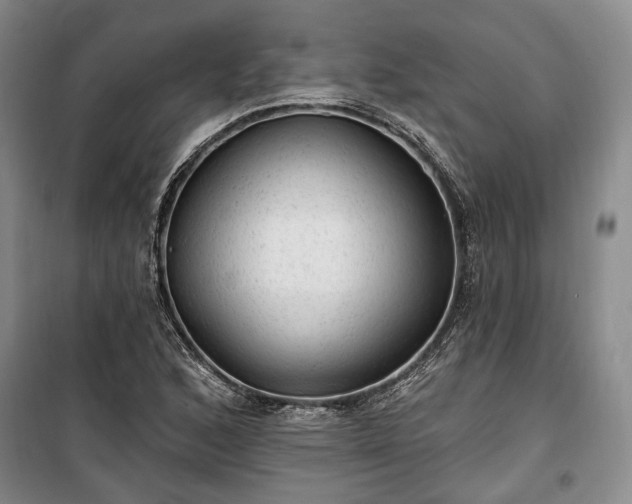 X0000100361168200806131008