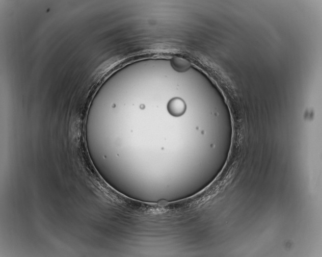 X0000100361169200806131008