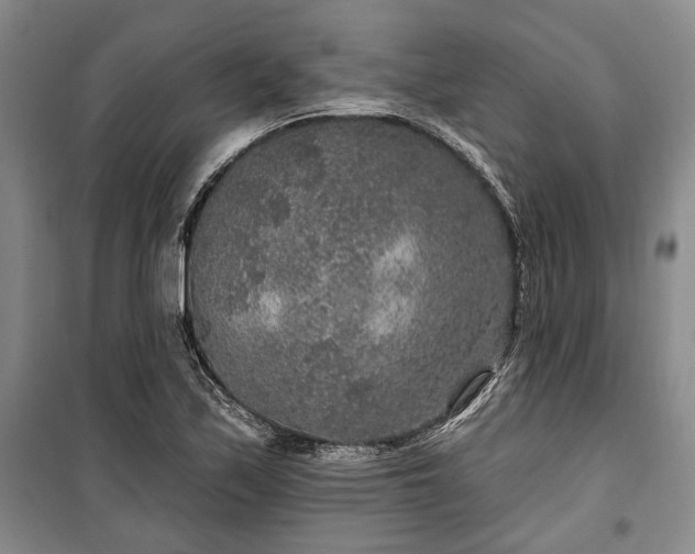 X0000100361171200806131008